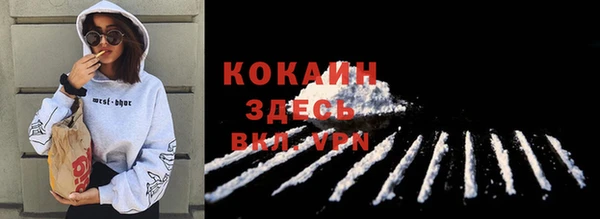 сатива Козельск